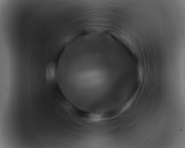 X0000093160143200710031452