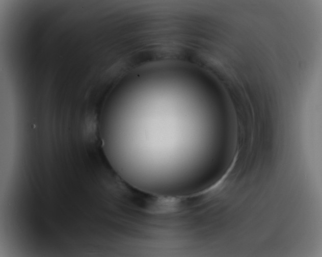 X0000093160144200710031452