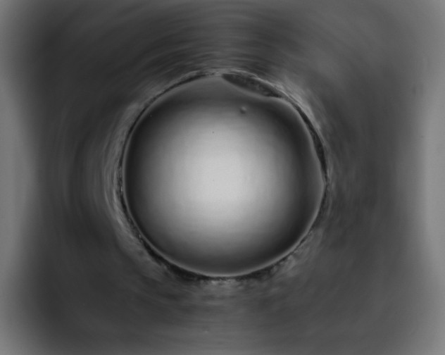 X0000093160145200710031452