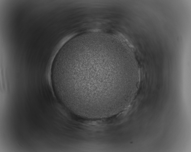 X0000093160147200710031452