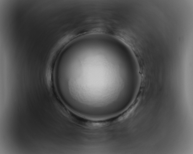 X0000093160149200710031452