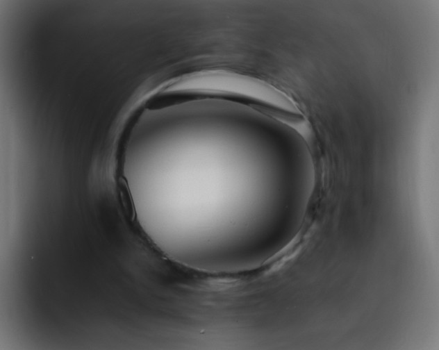 X0000093160150200710031452