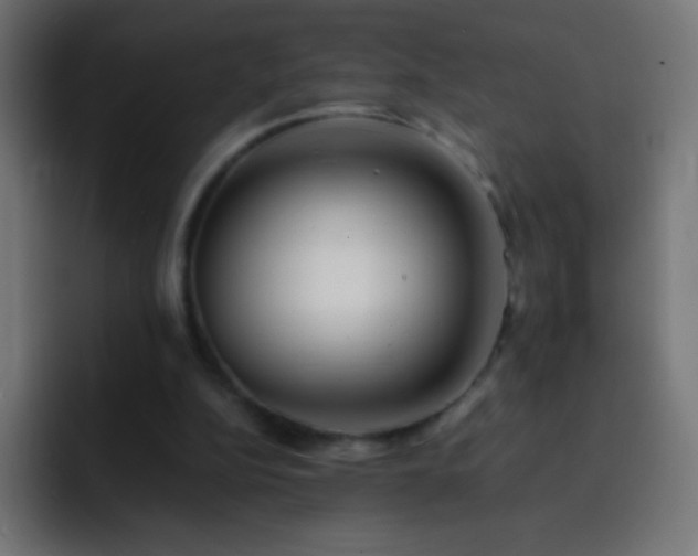X0000093160152200710031452