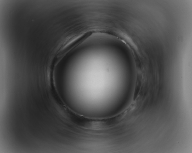X0000093160154200710031452