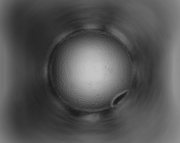 X0000093160155200710031452