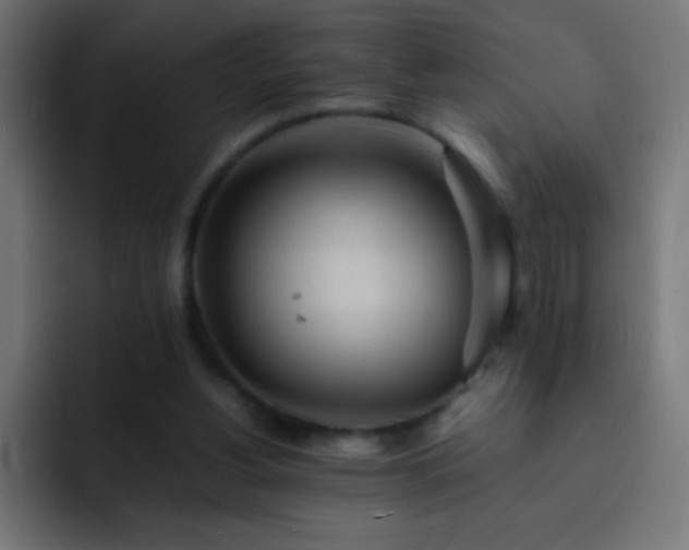 X0000093160156200710031452