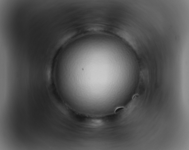 X0000093160159200710031452