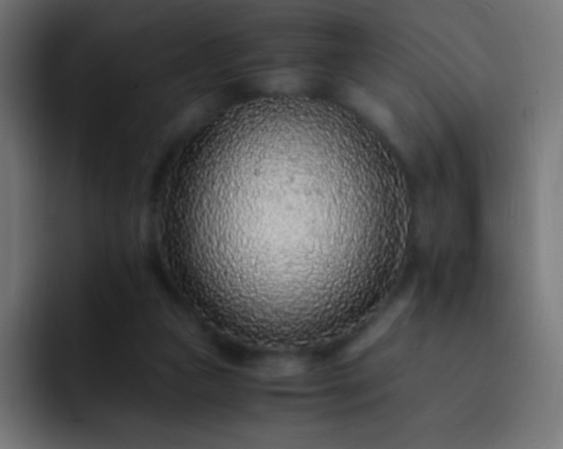 X0000093160161200710031452