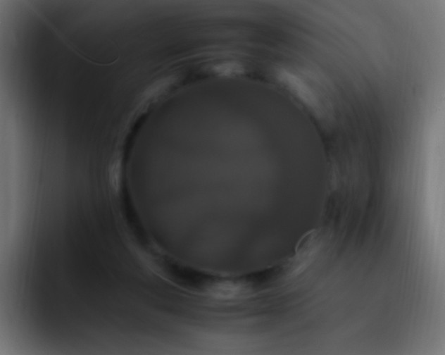 X0000093160163200710031452