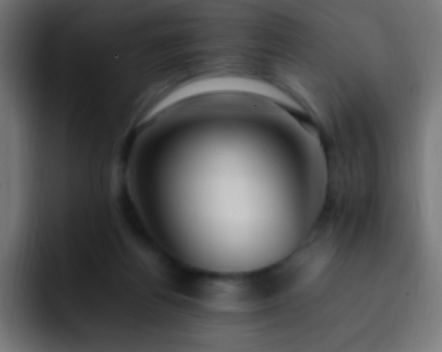 X0000093160164200710031452