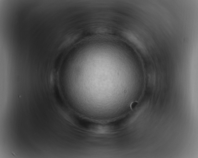 X0000093160165200710031452