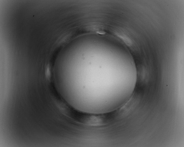 X0000093160166200710031452