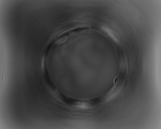 X0000093160167200710031452