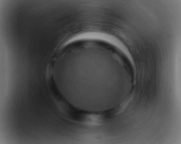 X0000093160168200710031452