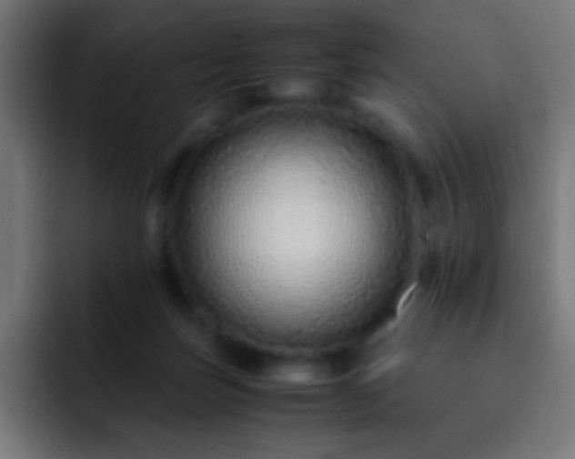 X0000093160171200710031452