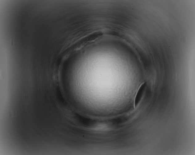 X0000093160175200710031452
