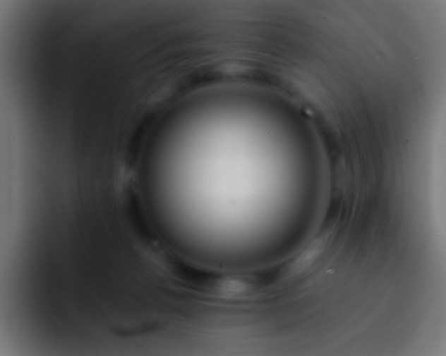 X0000093160176200710031452