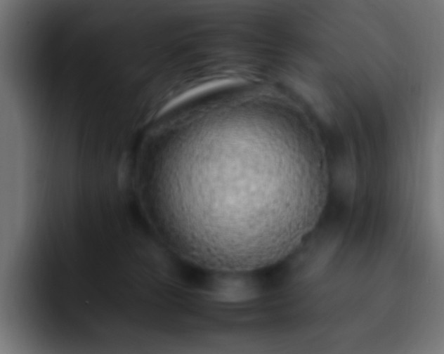 X0000093160181200710031452