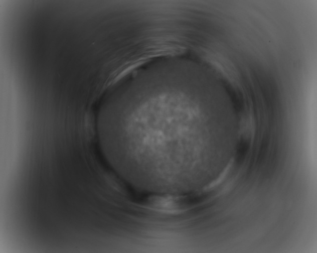 X0000093160182200710031452