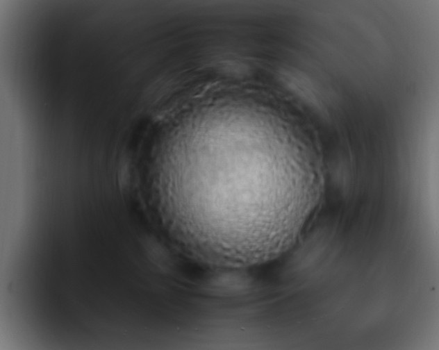 X0000093160185200710031452