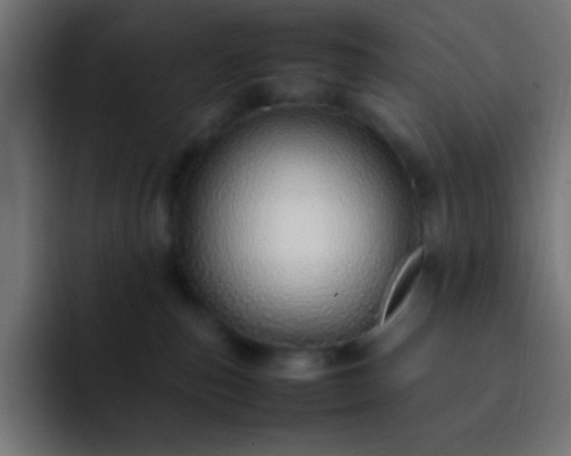 X0000093160187200710031452