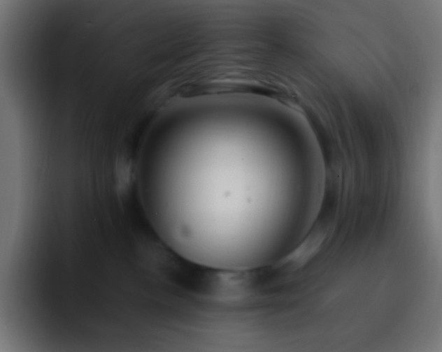 X0000093160188200710031452