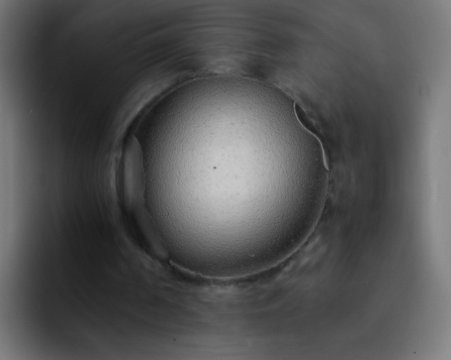 X0000093160194200710031452