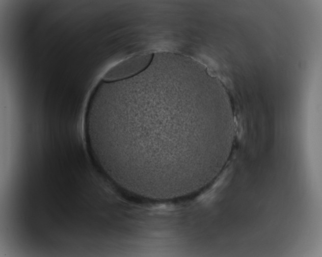 X0000093160196200710031452