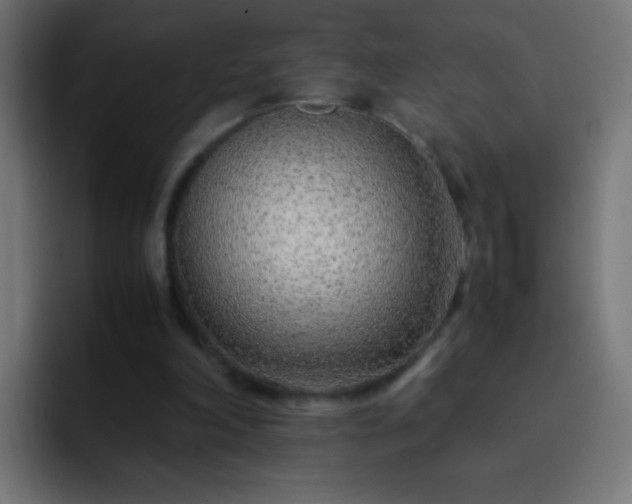 X0000093160198200710031452