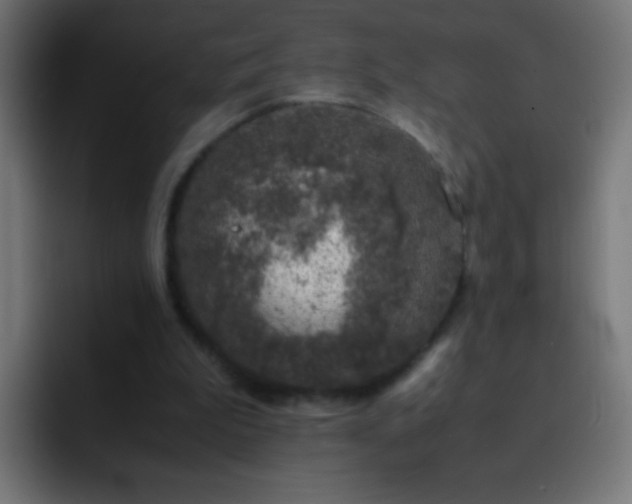 X0000093160199200710031452