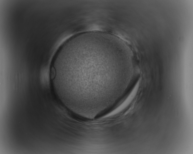 X0000093160200200710031452