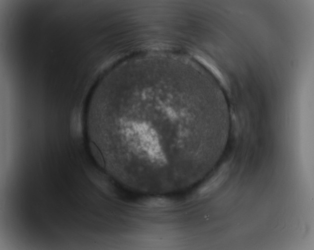 X0000093160203200710031452