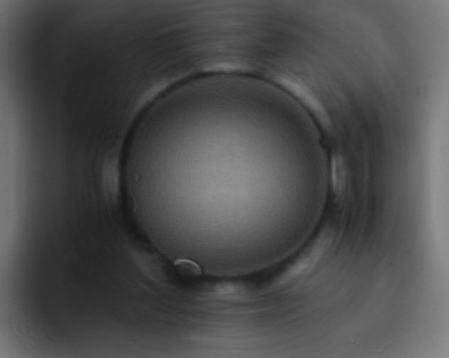 X0000093160204200710031452