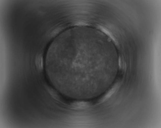 X0000093160205200710031452