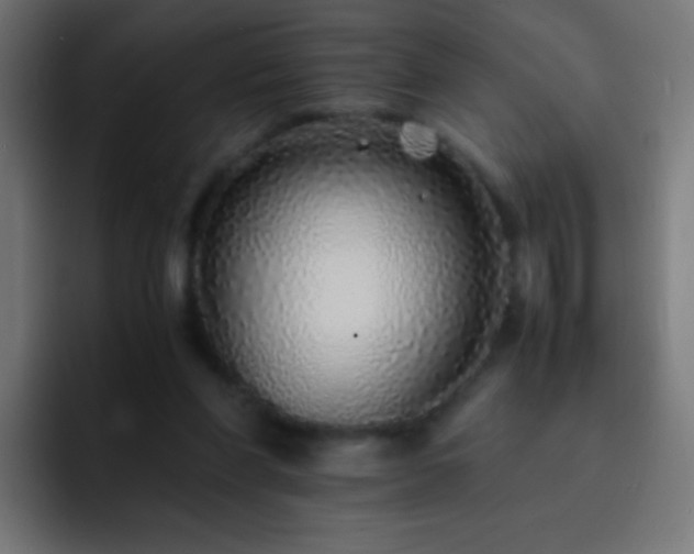 X0000093160206200710031452