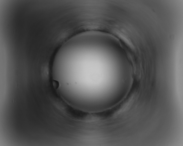 X0000093160207200710031452