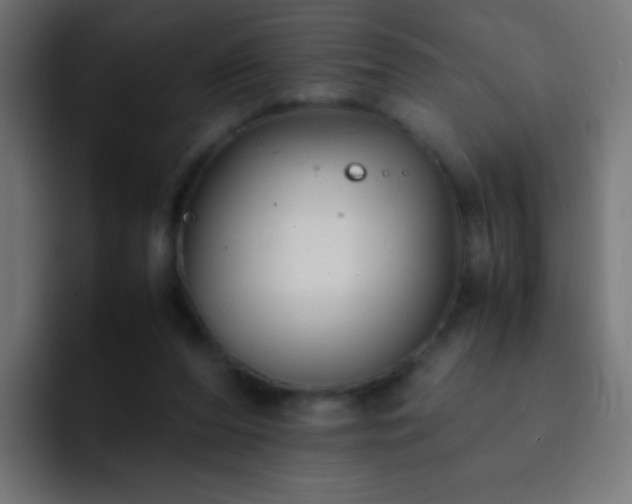 X0000093160208200710031452