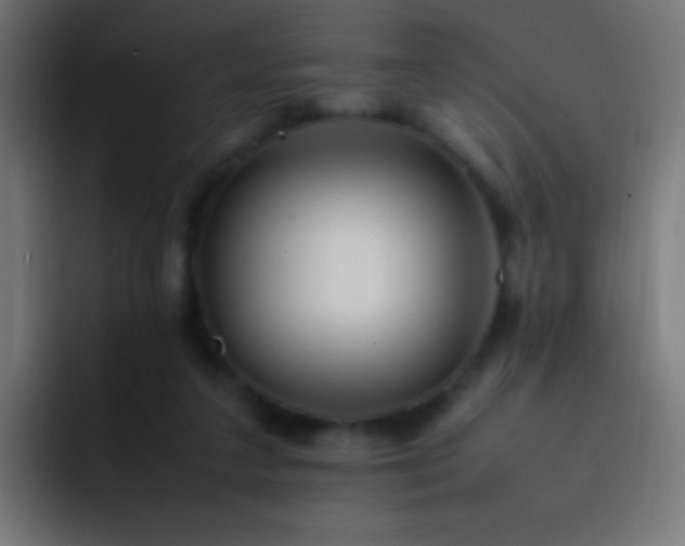 X0000093160211200710031452