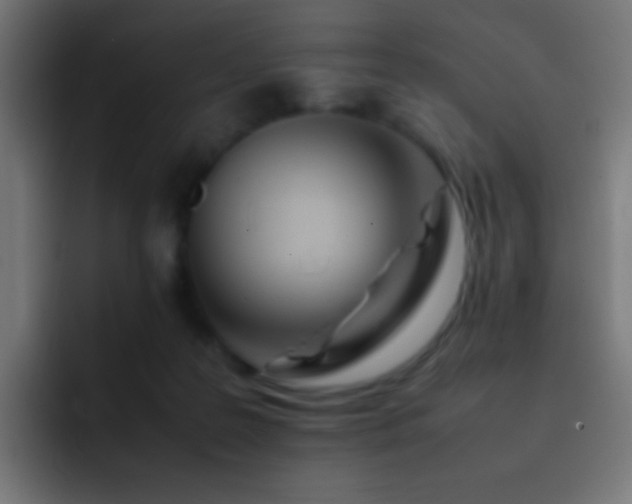 X0000093160219200710031452