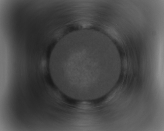 X0000093160222200710031452