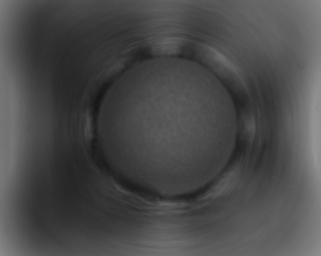 X0000093160224200710031451