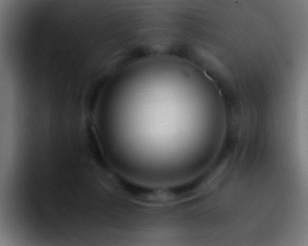 X0000093160225200710031451