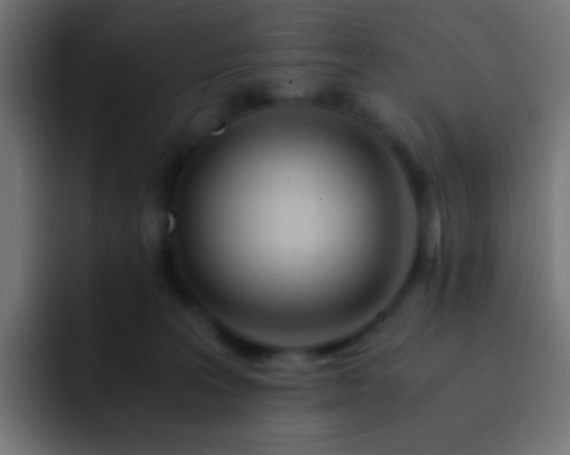 X0000093160227200710031451