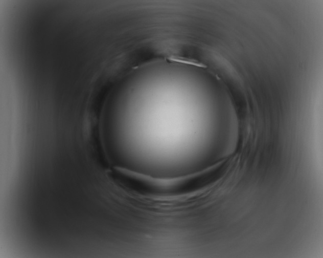 X0000093160229200710031451