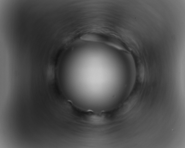 X0000093160232200710031451