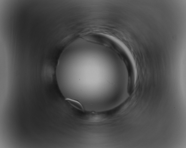 X0000093160235200710031451