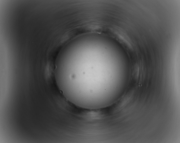 X0000093160236200710031451
