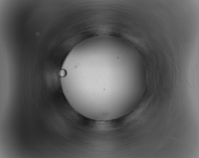 X0000093160240200710031451