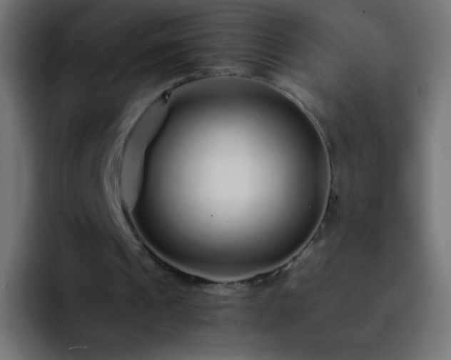 X0000093160241200710031451