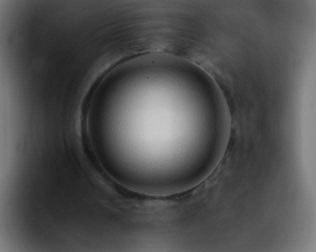 X0000093160242200710031451